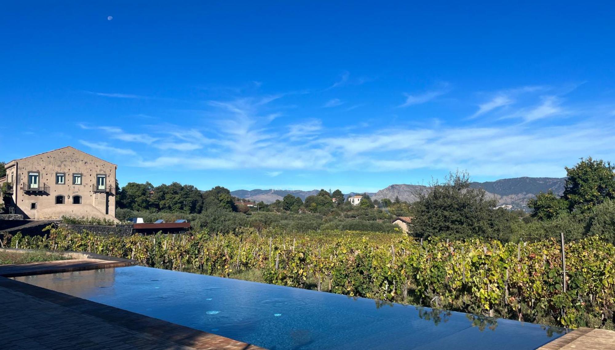 Tenuta Di Fessina Castiglione De Sicilia Ngoại thất bức ảnh